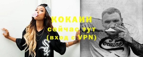 стафф Алзамай